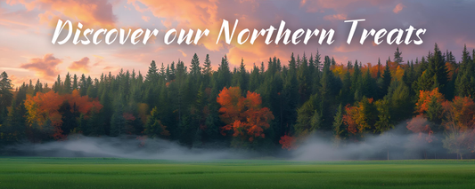 Canadian Snacks Delivered Worldwide